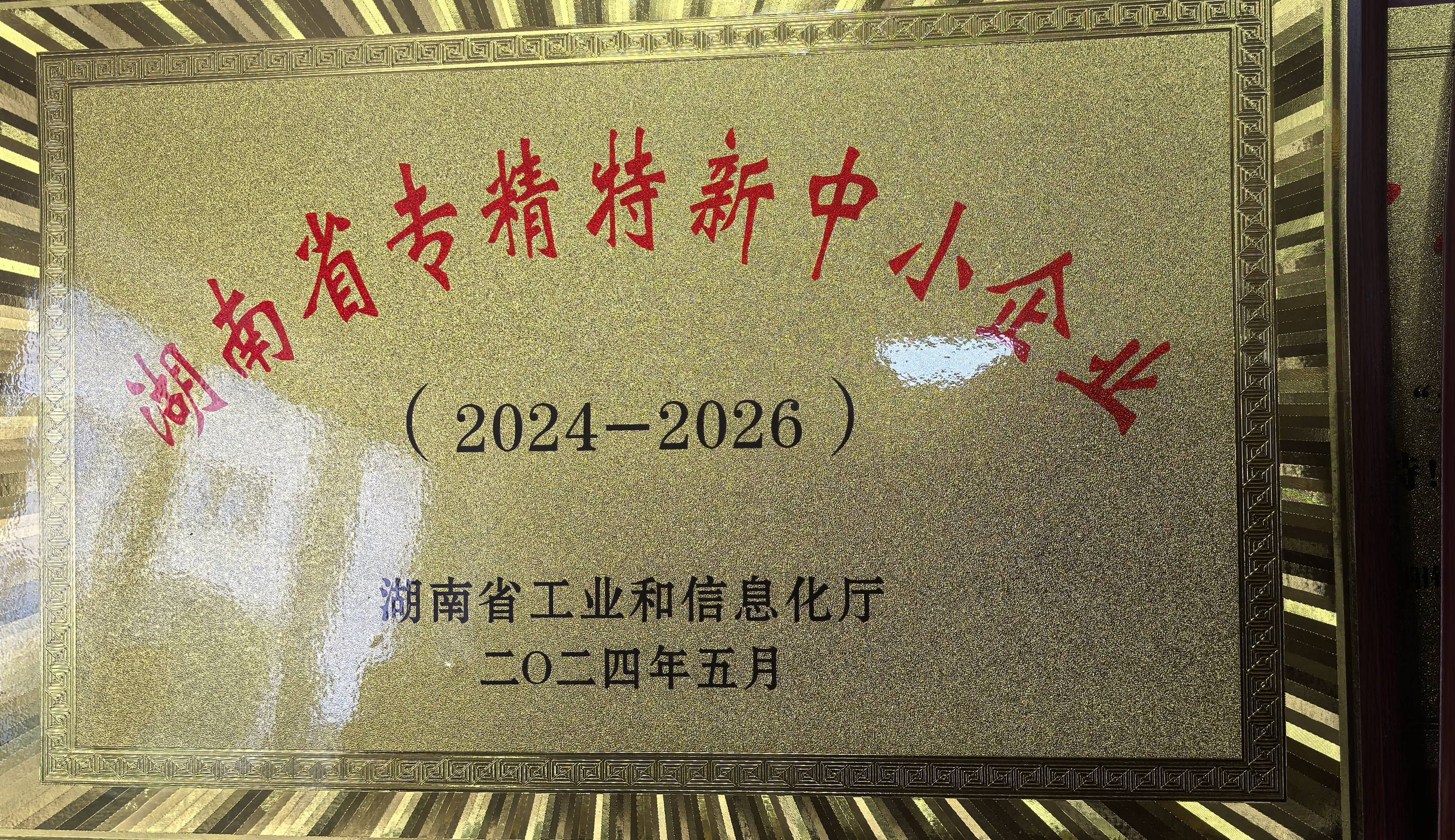 湖南省專精特新中小企業(yè)